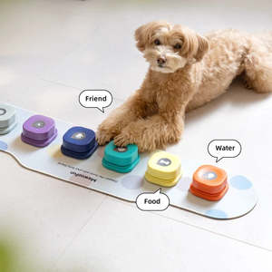 Pet Toys: Voice Recording Buttons Dog Toy