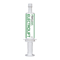 Equine Range: ELECTROLIFT