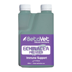 Equine Range: ECHINACEA PREMIER