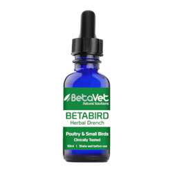 Canine And Lifestyle Animals: BETABIRD