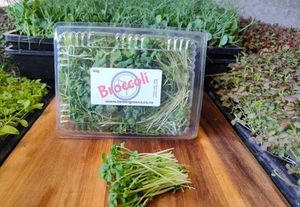 Products: Broccoli Shoots, 70grams
