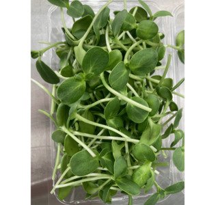 Products: Sunflower Shoots, 70grams