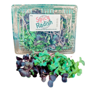 Spicy Radish Microgreens, 70grams