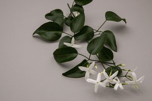 Products: Gift card