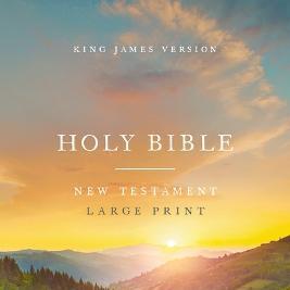 KJV Large Print Outreach New Testament Scenic Paperback