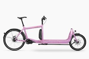 The Electrified Bullitt - e6100