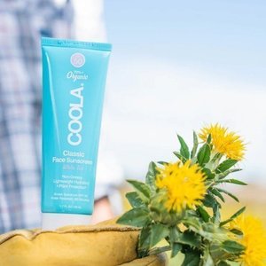 COOLA Classic Face SPF50 Organic Moisturiser (White Tea) ⋆ Bien-être Beauty Therapy