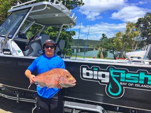 Products: VIP Fishing Adventure - Big Fish Bay of Islands