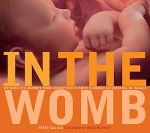 In The Womb: Witness the Journey from Conception to Birth Through 3D imaging Res&hellip;
