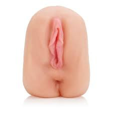 Products: Realistic Vulva and Anus model Restore Physiotherapy