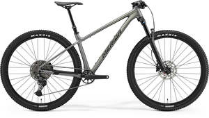 Hardtail: Big Nine TR 600 2025