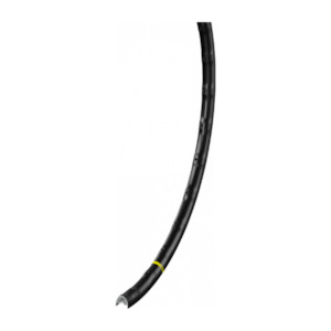 Rims: Mavic Rim A 1022 700c