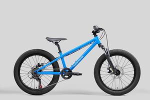 Norco Bikes: 2025 Norco Storm 20 Blue 20inch - G