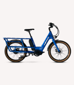 Products: Bene e-Bike Bikes and Trikes