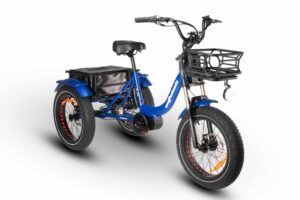 Products: Trike Carrier Bikes and Trikes
