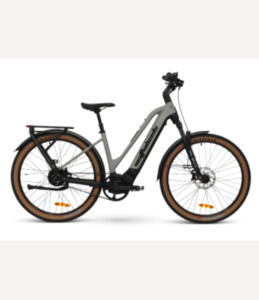 Products: Bighorn LS e-Bike Bikes and Trikes