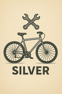 BIKE SERVICING - SILVER