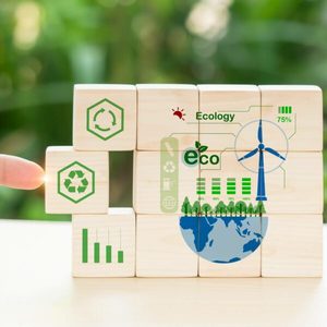 Products: Voluntary Carbon Credit Offset Offer Reduce Your Footprint