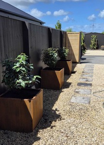 Steel Planters Nz: Cube Planter