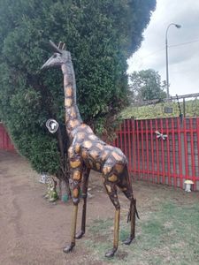 Products: Bluewildbeest 1.8m