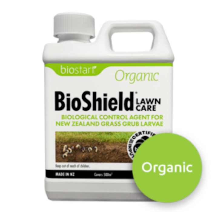 Products: Our