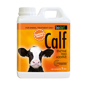Calf