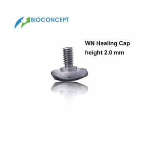 Wide Neck Healing cap, labial bevel, height 2mm Bioconcept New Zealand