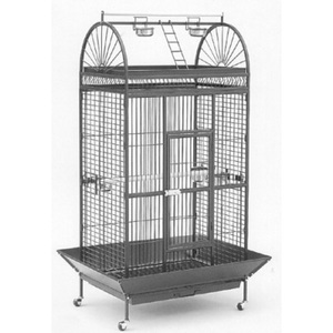 Avi One 210BB – The Parrot Place