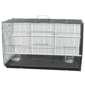 Avi One 311 Flight Cage – The Parrot Place