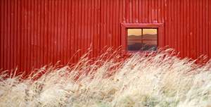 The Red Barn Window