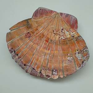 Scallop Shell