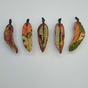 Set of 5 Gum Leaves