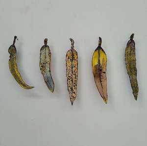 Set of 5 Gum Leaves - Muted