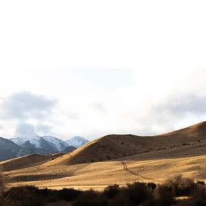 Farmers Track