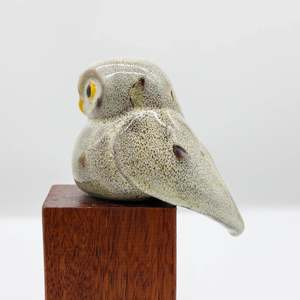 All: Ruru | Morepork
