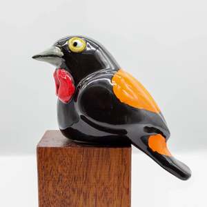 All: Tieke | Saddleback