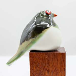 All: Kererū