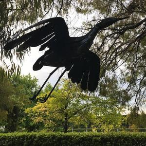 Egret - Flying