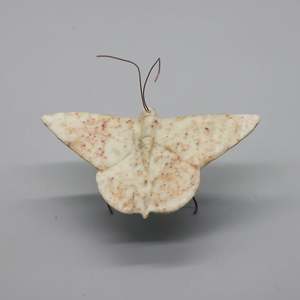 Stone Sculpture: Stone Moths