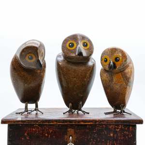 Some Of Our Favourites: Ruru | Morepork