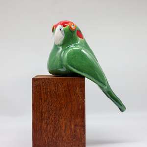 All: Kakariki