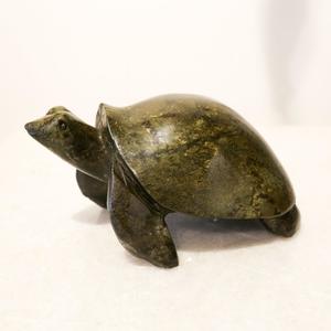All: Stone Tortoise