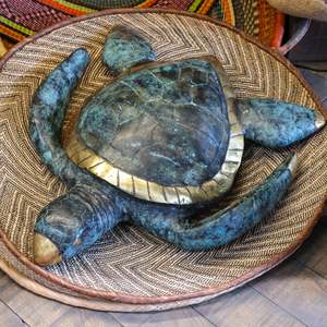 All: Bronze Turtle