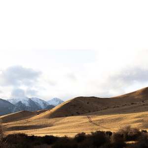 Photographic Canvases: Farmers Track