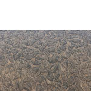 Photographic Canvases: Sand Story