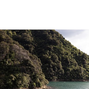 Photographic Canvases: The Fisherman