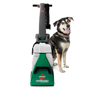 Carpet Washers: Big Green | 64P8F