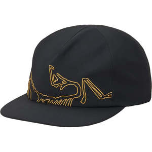 Arcteryx: Silex Cap