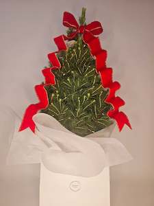 Frontpage: Mini Living Christmas Tree