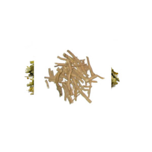 African Dream Root (Silene capensis) 5g
